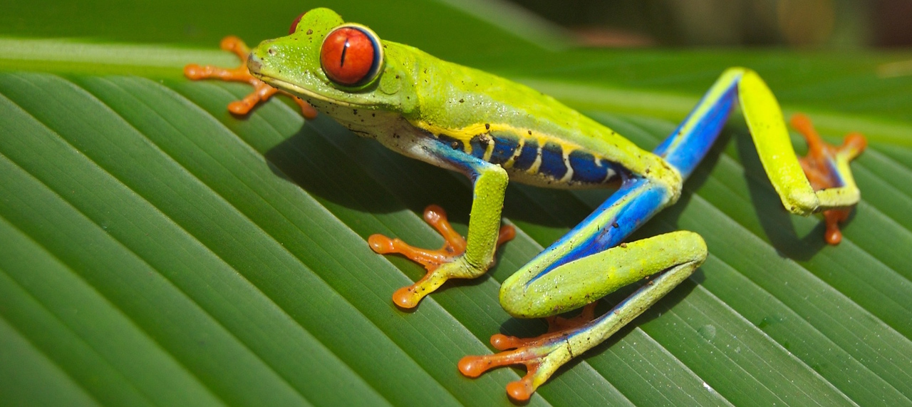 wildlife makes for good quality of life
