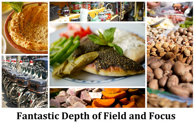 Depth of Field on the Panasonic Lumix GF1 lumix depth of field review