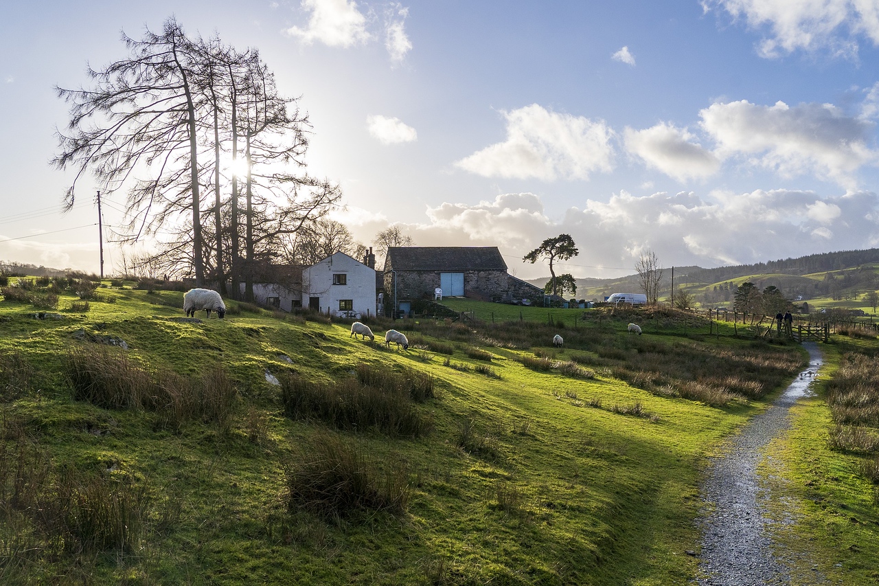 countryside near windermere cumbria