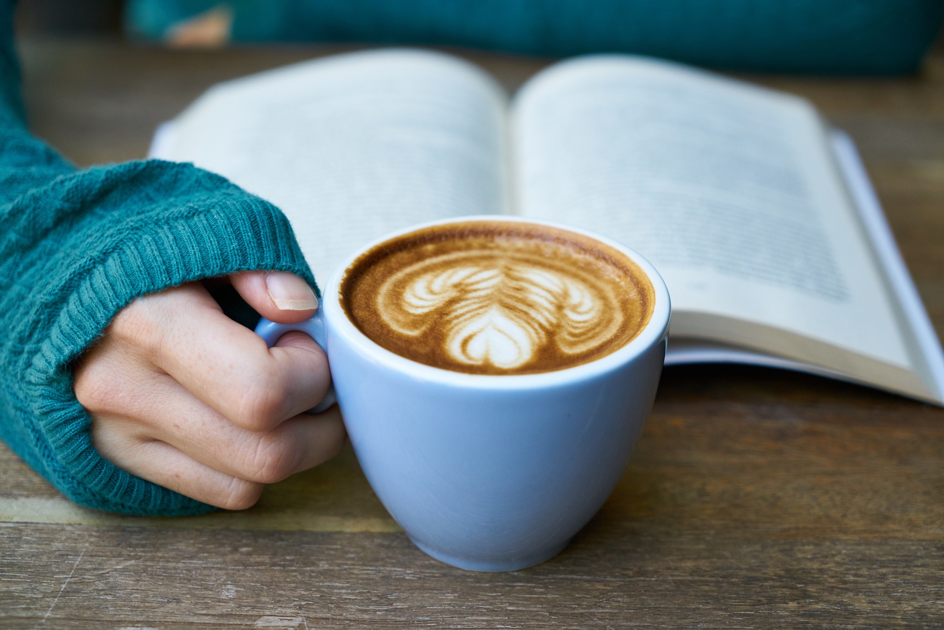reading free books to learn anything
