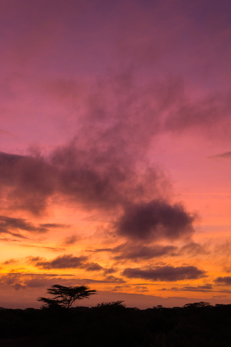 Those colors! One of the prettiest morning sunrises. ethically visit the Maasai of East Africa and experience sunrise in the Maasai Mara National Park