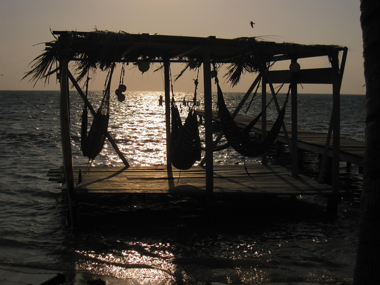 Hammocks on Caye Caulker are perfect or relaxing while traveling.