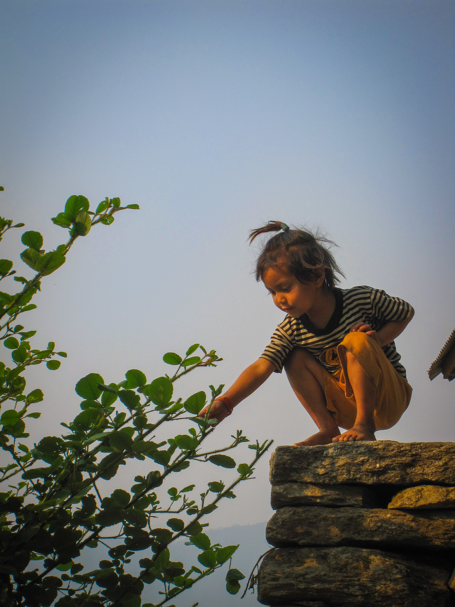 One of my favorite shots, a young girl picking at a tree near her house. young nepali girl