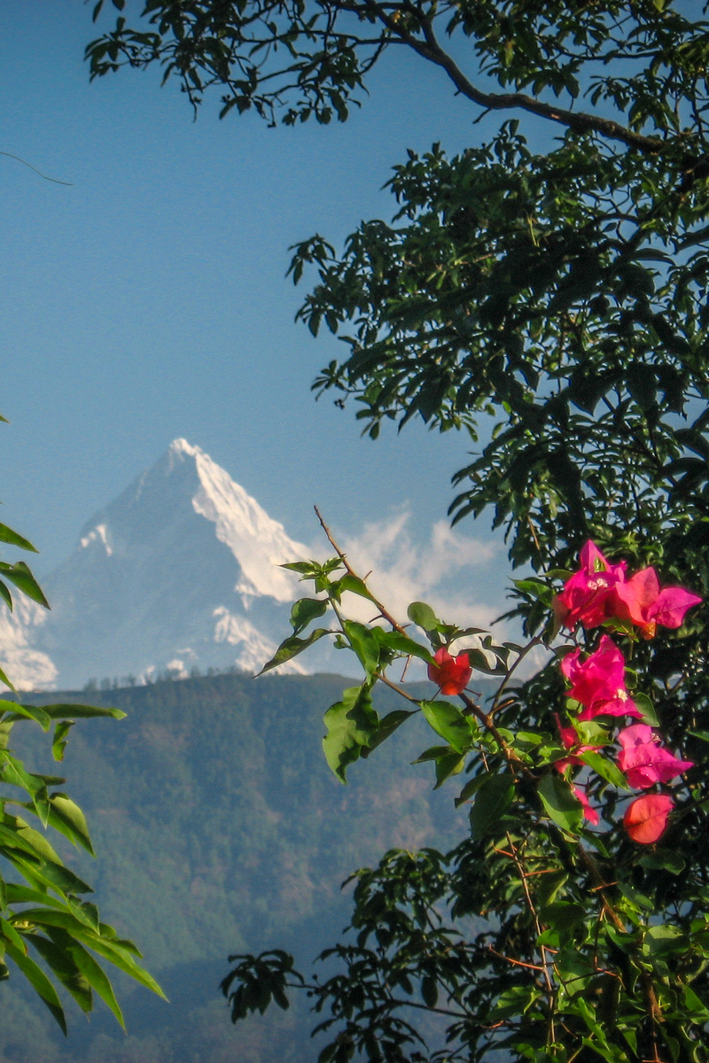 The sharp peak of Machapuchare from Begnas Lake in Nepal. Machapuchare from Begnas Lake in Nepal