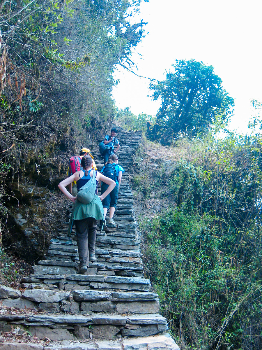 There are giant staircases that take you straight up the sides of the mountains for hours on end. staircases on poon hill trek